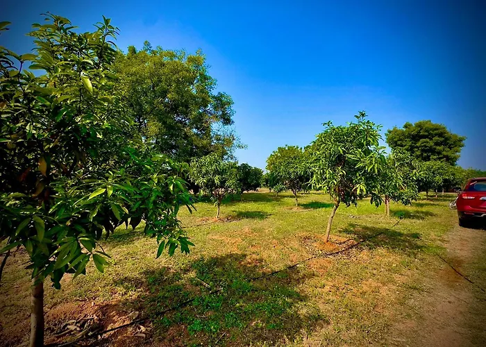 Mangohut Farmhouse Pool Villa Hyderabad
